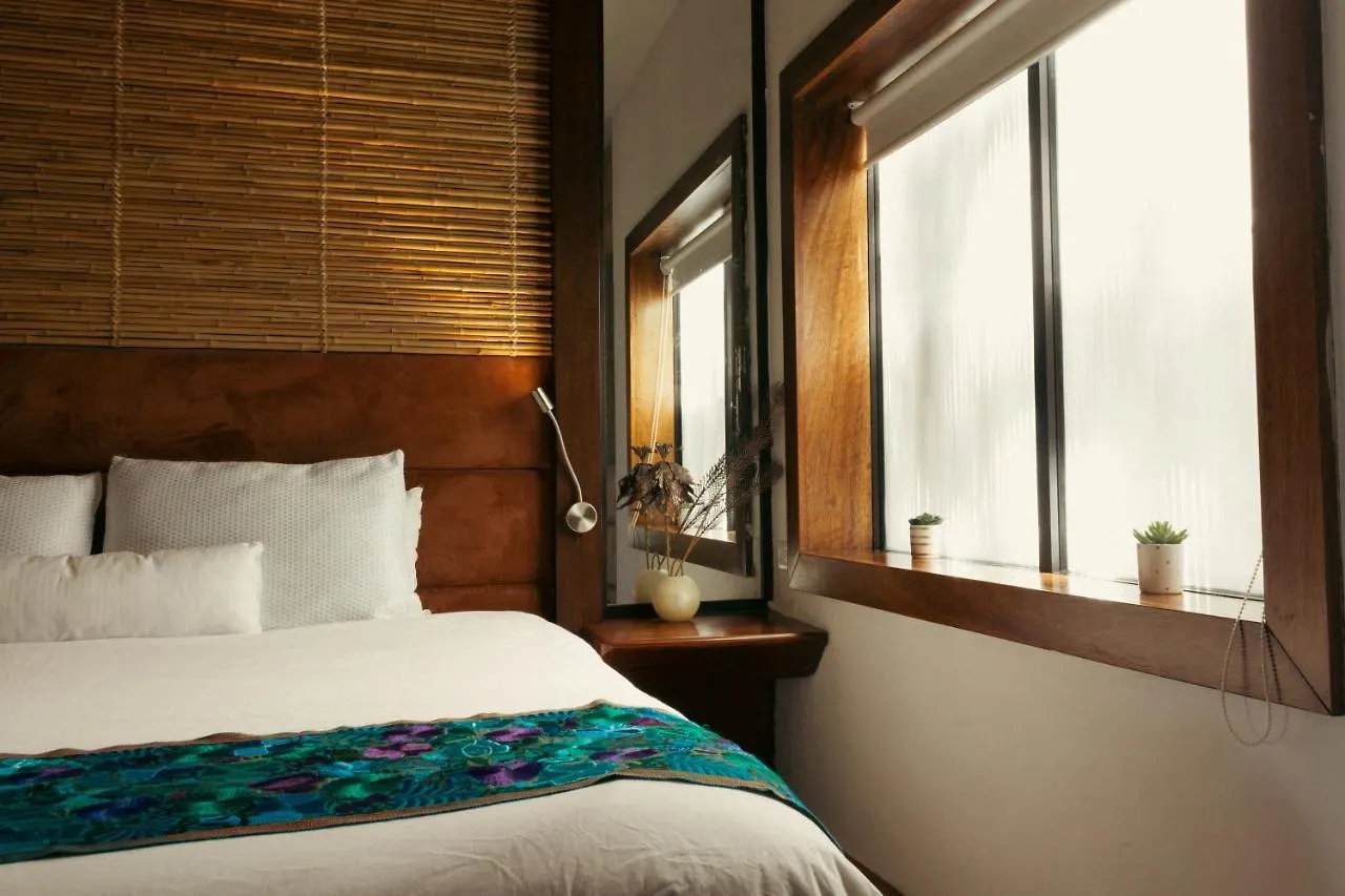 Aldea Thai Beachfront Condos Playa del Carmen Mexico